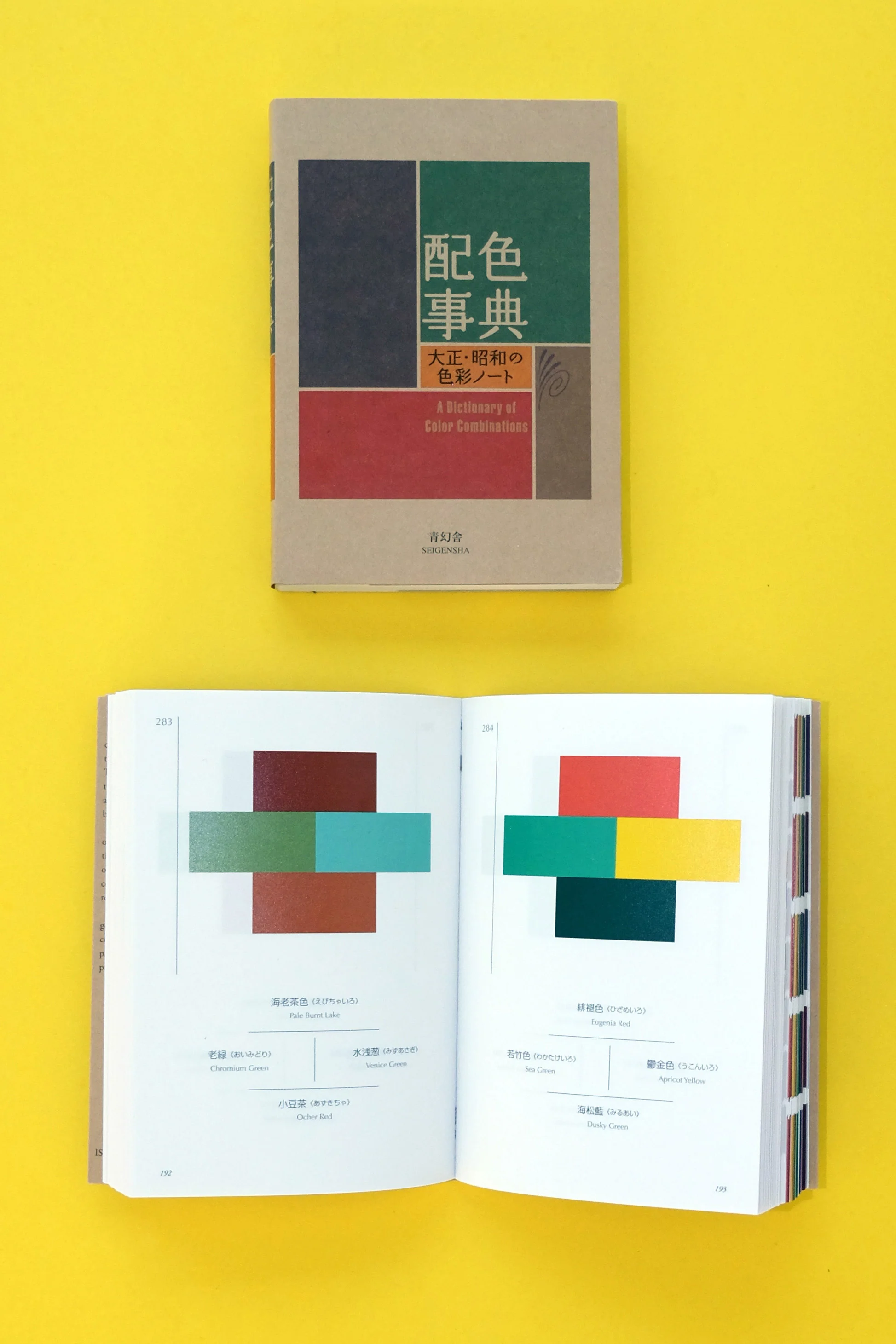 A Dictionary of Color Combinations Vol.1 - Image 2