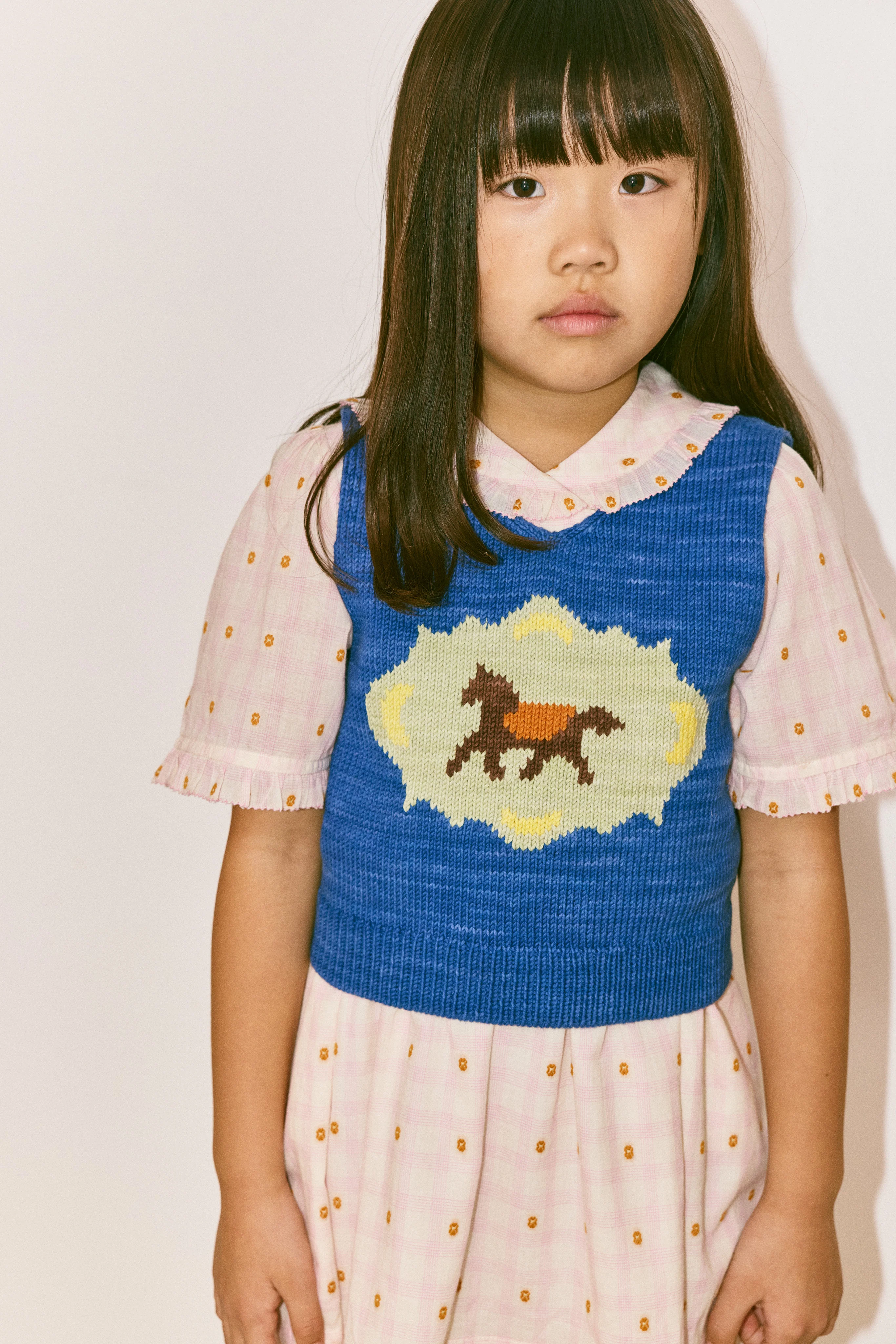 Horse Trot Box Vest - Image 3
