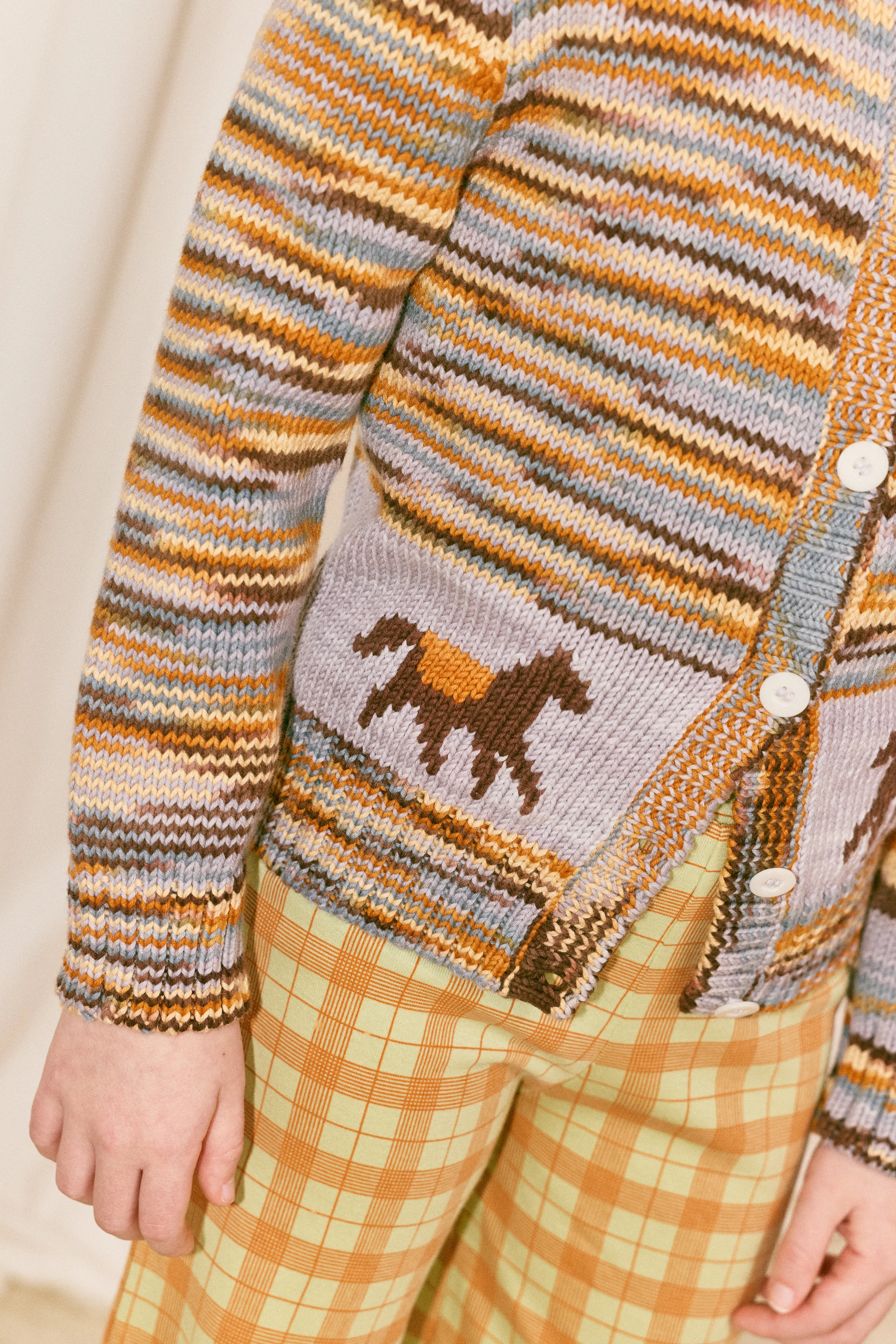 Horse Trot Cardigan - Image 4