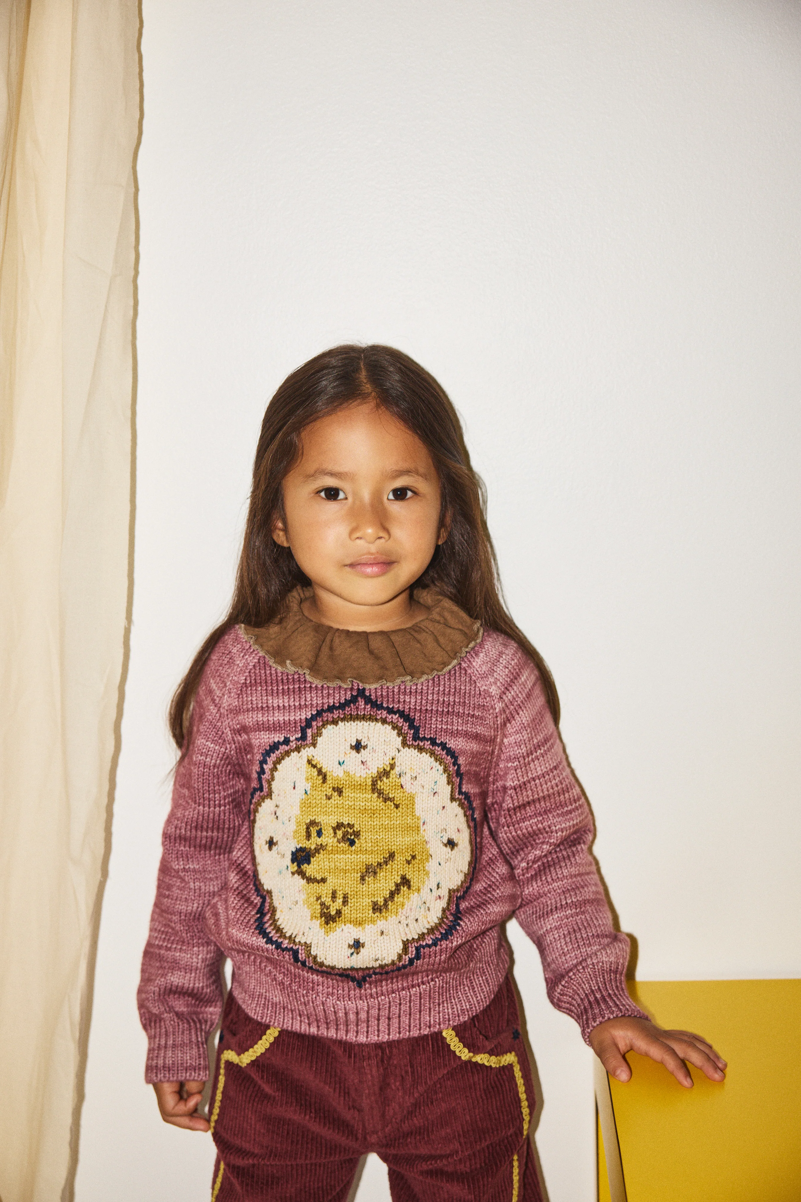 Royal Dog Sweater - Image 3