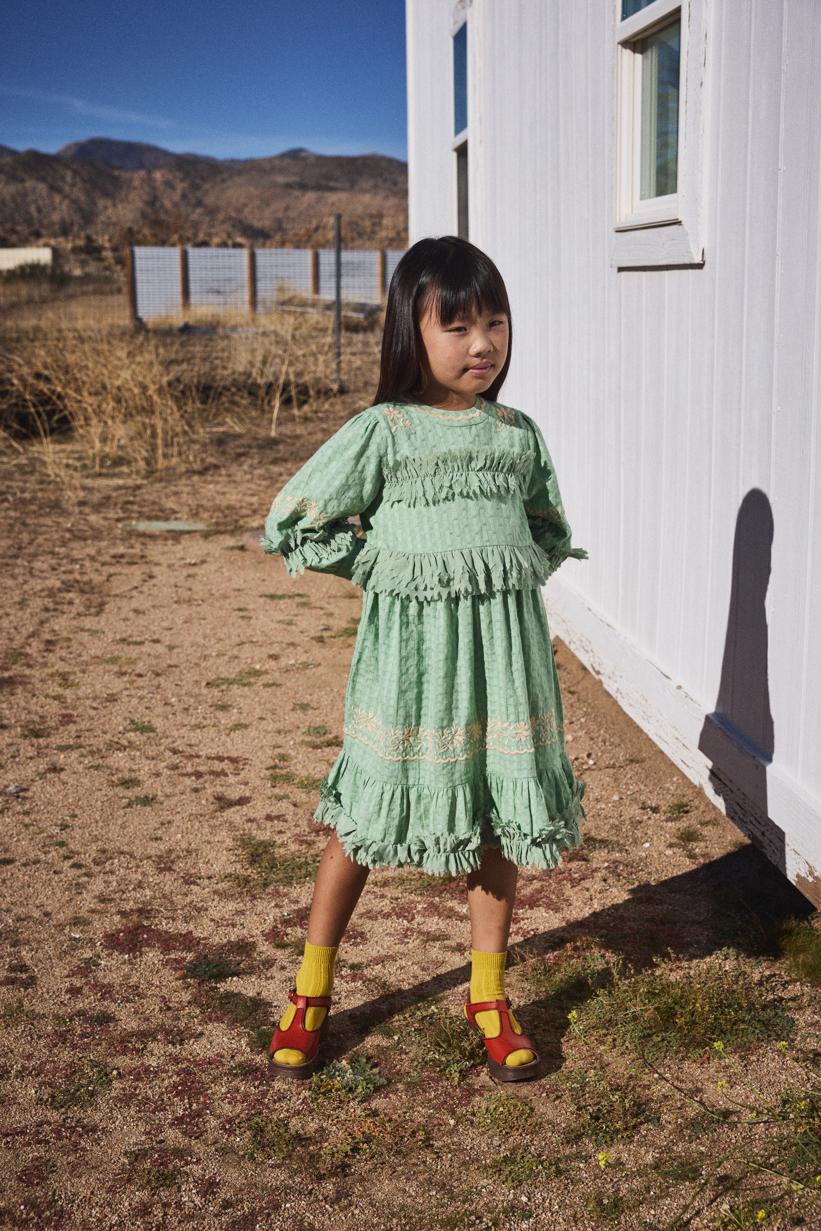Sonia Ruffle Dress - Image 3